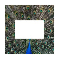 Peacock-feathers1 White Box Photo Frame 4  X 6  by nateshop