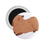 Capybara T- Shirt Cute Capybara Illustration T- Shirt Yoga Reflexion Pose T- Shirtyoga Reflexion Pose T- Shirt 2.25  Magnets Front