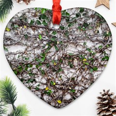 Climbing Plant At Outdoor Wall Heart Ornament (two Sides) by dflcprintsclothing