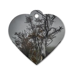 Nature s Resilience: Tierra Del Fuego Forest, Argentina Dog Tag Heart (two Sides)