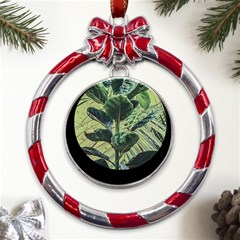 Botanical Tropical Motif Photo Art Metal Red Ribbon Round Ornament by dflcprintsclothing