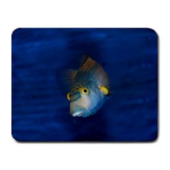 Fish Blue Animal Water Nature Small Mousepad by Amaryn4rt