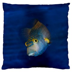 Fish Blue Animal Water Nature Large Premium Plush Fleece Cushion Case (two Sides)