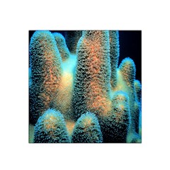 Photo Coral Great Scleractinia Satin Bandana Scarf 22  X 22  by Pakjumat