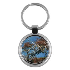 Botanical Wonders Of Argentina  Key Chain (round) by dflcprintsclothing
