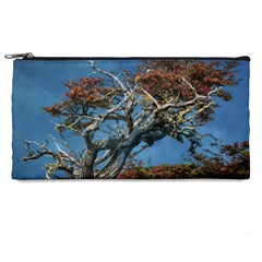 Botanical Wonders Of Argentina  Pencil Case by dflcprintsclothing