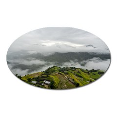 Residential Paddy Field Step Cloud Oval Magnet by Sarkoni