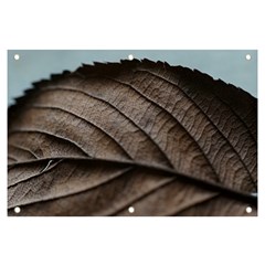 Leaf Veins Nerves Macro Closeup Banner And Sign 6  X 4  by Amaryn4rt