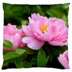 Beautiful Tree Flowers Standard Premium Plush Fleece Cushion Case (two Sides)