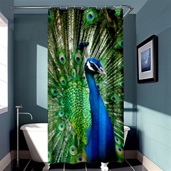 Peafowl Peacock Shower Curtain 36  X 72  (stall)  by Sarkoni