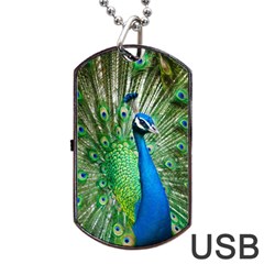 Peafowl Peacock Dog Tag Usb Flash (one Side) by Sarkoni