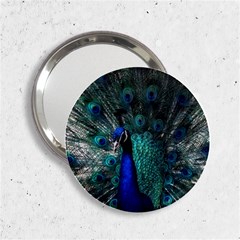 Blue And Green Peacock 2 25  Handbag Mirrors