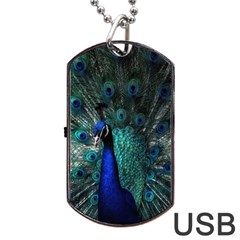 Blue And Green Peacock Dog Tag Usb Flash (one Side) by Sarkoni