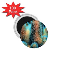 Photo Coral Great Scleractinia 1 75  Magnets (100 Pack) 