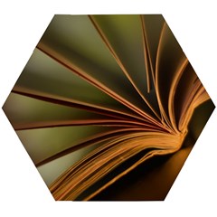 Book Screen Climate Mood Range Wooden Puzzle Hexagon by Amaryn4rt
