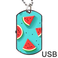 Watermelon Fruit Slice Dog Tag Usb Flash (one Side) by Bedest