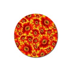 Gerbera Flowers Blossom Bloom Magnet 3  (round) by Amaryn4rt