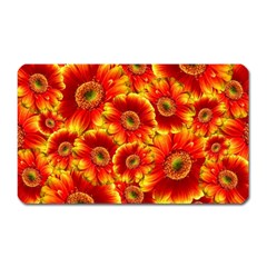 Gerbera Flowers Blossom Bloom Magnet (rectangular) by Amaryn4rt