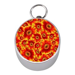 Gerbera Flowers Blossom Bloom Mini Silver Compasses