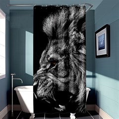 Angry Male Lion Roar Wild Animal Shower Curtain 36  X 72  (stall)  by Cendanart