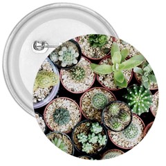 Cactus Nature Plant Desert 3  Buttons by Bedest