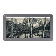 Dry Forest Landscape, Tierra Del Fuego, Argentina Memory Card Reader (mini) by dflcprintsclothing