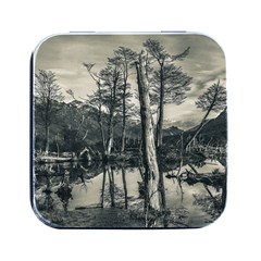 Dry Forest Landscape, Tierra Del Fuego, Argentina Square Metal Box (black) by dflcprintsclothing