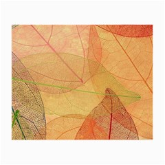 Leaves Patterns Colorful Leaf Pattern Small Glasses Cloth (2 Sides) by Cemarart