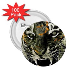 Angry Tiger Animal Broken Glasses 2 25  Buttons (100 Pack)  by Cemarart