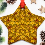 Blooming Flowers Of Lotus Paradise Ornament (Star) Front