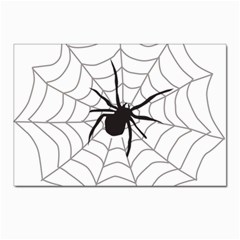 Spider Web Postcards 5  X 7  (pkg Of 10) by Azkajaya