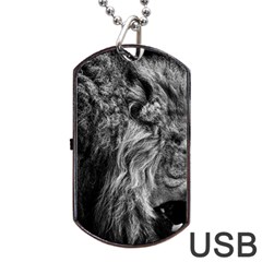 Angry Male Lion Wild Animal Dog Tag Usb Flash (one Side) by Loisa77