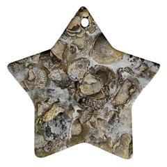 Fossilized Seashell Texture Print Design Bk Ornament (star) by dflcprintsclothing