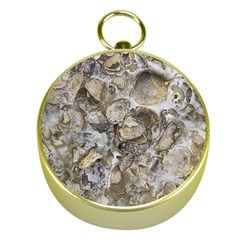 Fossilized Seashell Texture Print Design Bk Gold Compasses