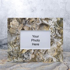 Fossilized Seashell Texture Print Design Bk White Tabletop Photo Frame 4 x6  by dflcprintsclothing