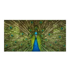 Peacock Feathers Bird Plumage Satin Wrap 35  X 70 