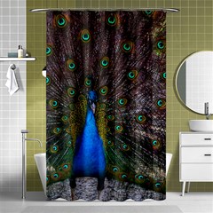 Bird Peacock Feathers Shower Curtain 48  X 72  (small)  by Perong