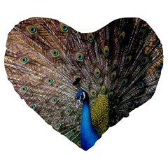 Peacock Bird Animal Peafowl Large 19  Premium Flano Heart Shape Cushions