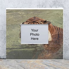 Swimming Tiger White Wall Photo Frame 5  X 7 