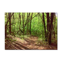 Peaceful Green Forest Walk Sticker A4 (100 Pack) by ExtraAwesomeSauce