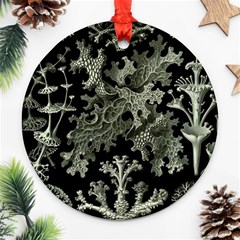 Weave Haeckel Lichenes Photobionten Ornament (round)