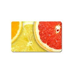 Fruit, Lemon Magnet (name Card)