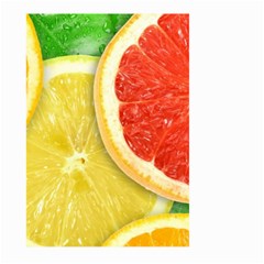 Fruit, Lemon Large Garden Flag (two Sides) by kyorashop23