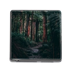 Forest Jungle Trees Tropics Memory Card Reader (square 5 Slot)