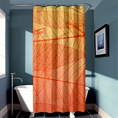 Abstract Texture Of Colorful Bright Pattern Of Transparent Leaves Of Orange And Yellow Color Shower Curtain 36  X 72  (stall) 