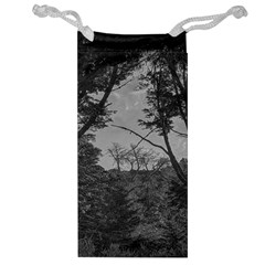 Patagonia Forest, Nahuel Huapi National Park, Rio Negro, Argentina Jewelry Bag by dflcprintsclothing