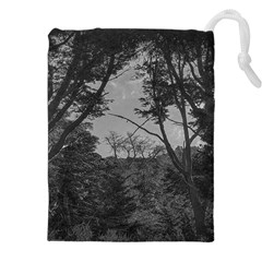 Patagonia Forest, Nahuel Huapi National Park, Rio Negro, Argentina Drawstring Pouch (4xl) by dflcprintsclothing