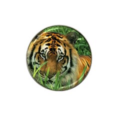 Tiger Hat Clip Ball Marker (4 Pack) by ironman2222