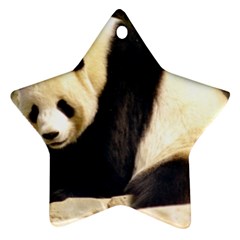 Giant Panda National Zoo Ornament (star) by rainbowberry