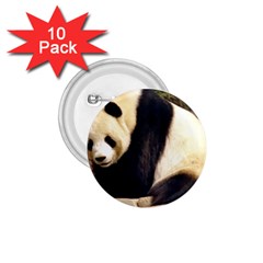 Giant Panda National Zoo 1 75  Button (10 Pack) 